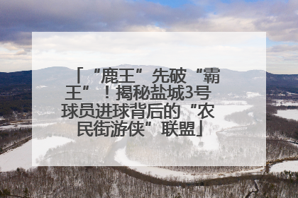 “鹿王”先破“霸王”！揭秘盐城3号球员进球背后的“农民街游侠”联盟