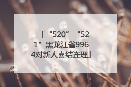 “520”“521”黑龙江省9964对新人喜结连理