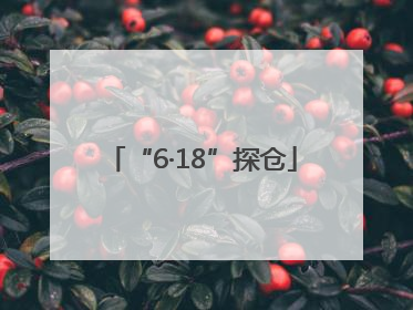 “6·18”探仓