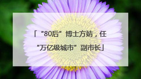 “80后”博士方靖，任“万亿级城市”副市长