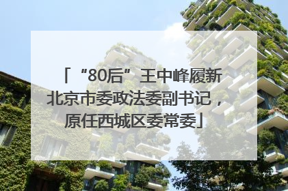 “80后”王中峰履新北京市委政法委副书记，原任西城区委常委