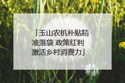 玉山农机补贴精准落袋 政策红利激活乡村消费力