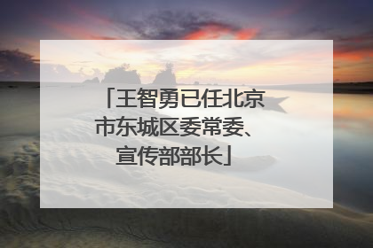 王智勇已任北京市东城区委常委、宣传部部长