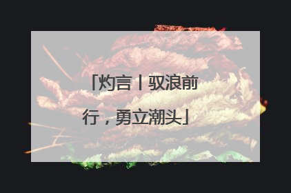 灼言丨驭浪前行，勇立潮头