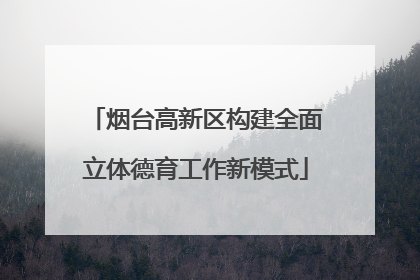 烟台高新区构建全面立体德育工作新模式