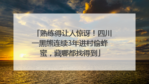 熟练得让人惊讶！四川一黑熊连续3年进村偷蜂蜜，藏哪都找得到
