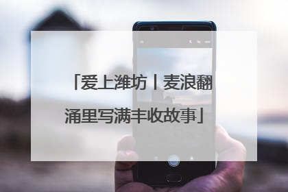 爱上潍坊丨麦浪翻涌里写满丰收故事
