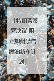 特朗普签署决议 阻止加州禁售燃油新车计划