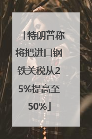 特朗普称将把进口钢铁关税从25%提高至50%