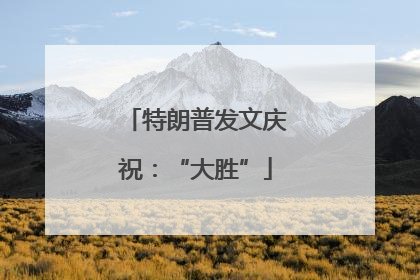 特朗普发文庆祝：“大胜”