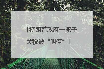 特朗普政府一揽子关税被“叫停”
