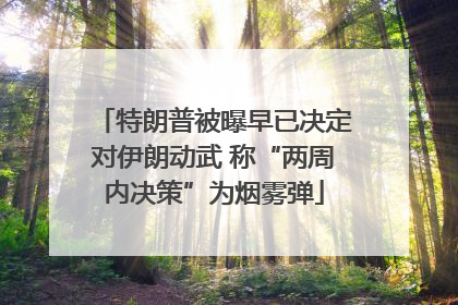 特朗普被曝早已决定对伊朗动武 称“两周内决策”为烟雾弹