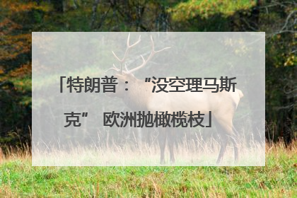 特朗普：“没空理马斯克” 欧洲抛橄榄枝