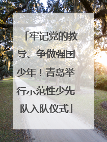 牢记党的教导、争做强国少年！青岛举行示范性少先队入队仪式