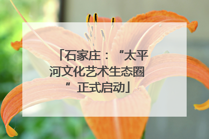 石家庄：“太平河文化艺术生态圈”正式启动