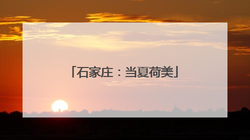 石家庄：当夏荷美