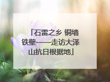 石雷之乡 铜墙铁壁——走访大泽山抗日根据地