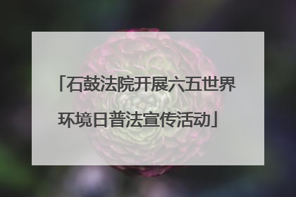 石鼓法院开展六五世界环境日普法宣传活动
