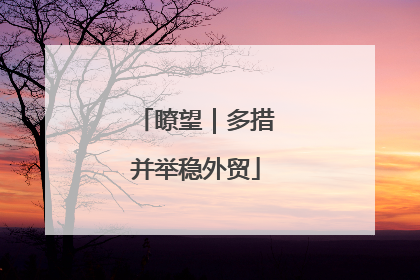 瞭望｜多措并举稳外贸