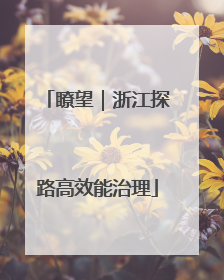 瞭望｜浙江探路高效能治理