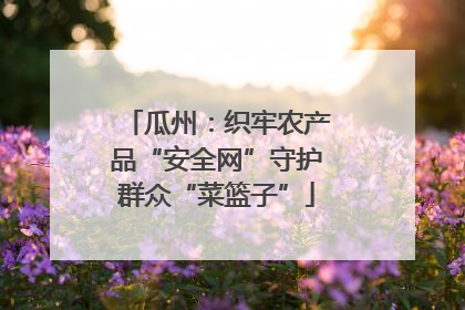瓜州：织牢农产品“安全网”守护群众“菜篮子”