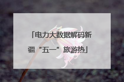 电力大数据解码新疆“五一”旅游热