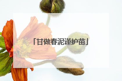 甘做春泥谨护苗