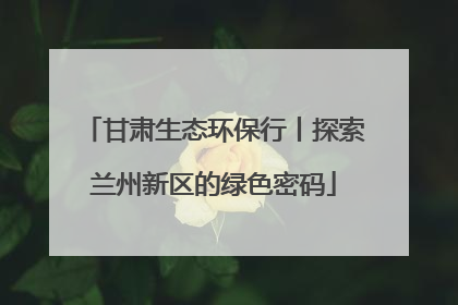 甘肃生态环保行丨探索兰州新区的绿色密码