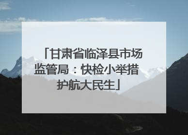 甘肃省临泽县市场监管局：快检小举措 护航大民生