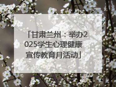 甘肃兰州：举办2025学生心理健康宣传教育月活动