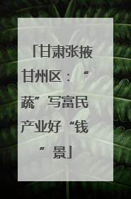 甘肃张掖甘州区：“蔬”写富民产业好“钱”景