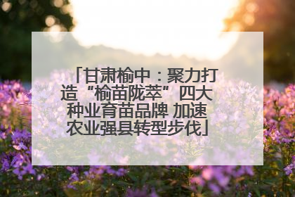 甘肃榆中：聚力打造“榆苗陇萃”四大种业育苗品牌 加速农业强县转型步伐
