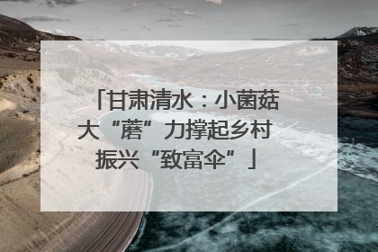 甘肃清水：小菌菇大“蘑”力撑起乡村振兴“致富伞”