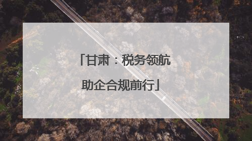 甘肃：税务领航 助企合规前行