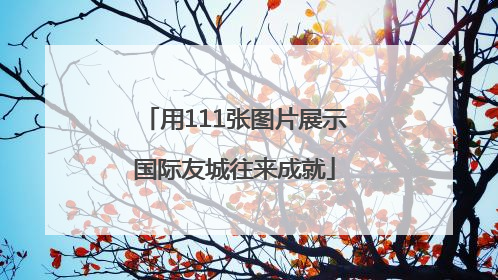 用111张图片展示国际友城往来成就