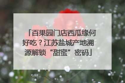 百果园门店西瓜缘何好吃？江苏盐城产地溯源解锁“甜蜜”密码