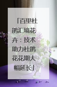 百里杜鹃汇境花卉：技术助力杜鹃花花期大幅延长