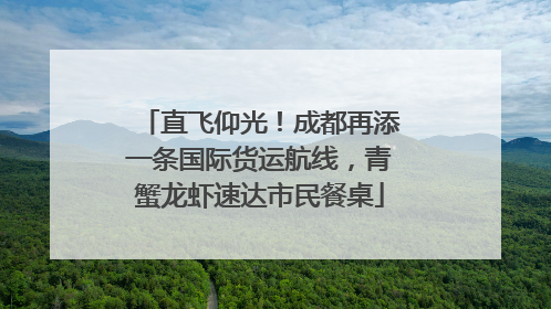 直飞仰光！成都再添一条国际货运航线，青蟹龙虾速达市民餐桌