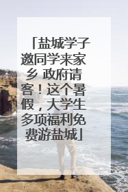 盐城学子邀同学来家乡 政府请客！这个暑假，大学生多项福利免费游盐城