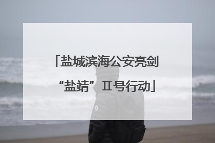 盐城滨海公安亮剑“盐靖”Ⅱ号行动
