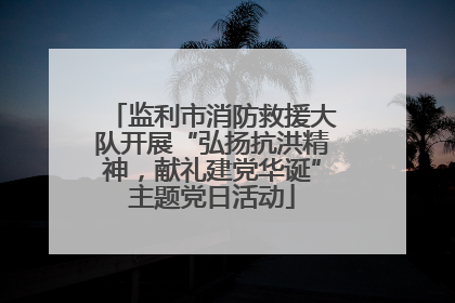 监利市消防救援大队开展“弘扬抗洪精神，献礼建党华诞”主题党日活动