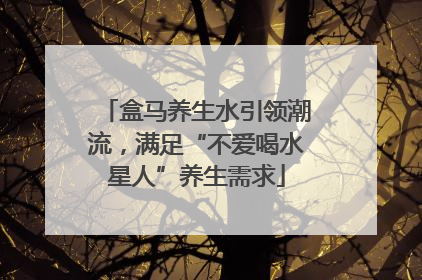 盒马养生水引领潮流，满足“不爱喝水星人”养生需求