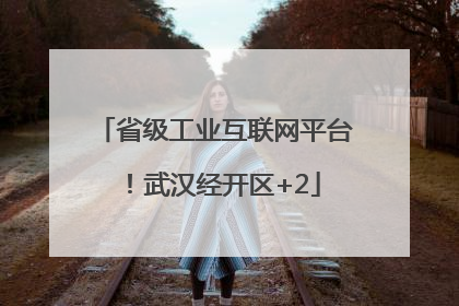 省级工业互联网平台！武汉经开区+2
