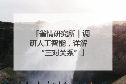 省情研究所｜调研人工智能，详解“三对关系”