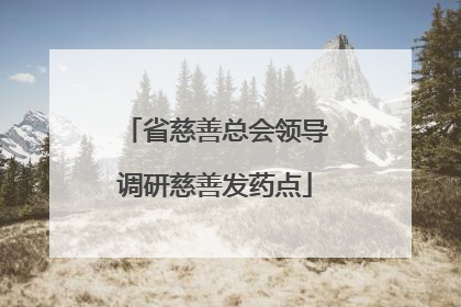 省慈善总会领导调研慈善发药点