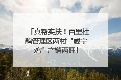 真帮实扶！百里杜鹃管理区两村“威宁鸡”产销两旺