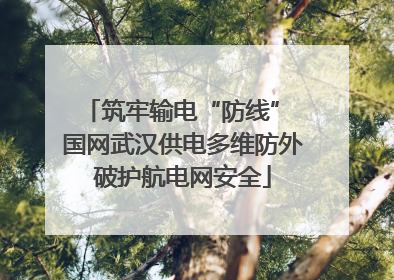 筑牢输电“防线” 国网武汉供电多维防外破护航电网安全