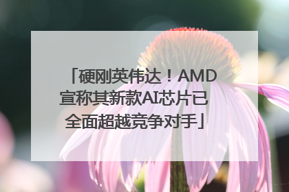 硬刚英伟达！AMD宣称其新款AI芯片已全面超越竞争对手