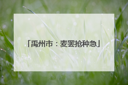 禹州市：麦罢抢种急