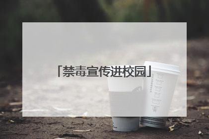 禁毒宣传进校园